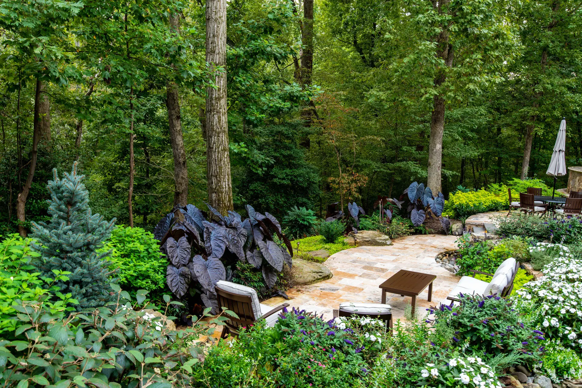 Pristine Acres PristineAcres 246